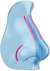 جراحی بینی